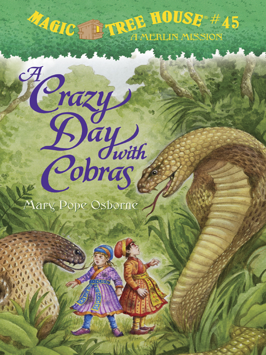 A Crazy Day with Cobras